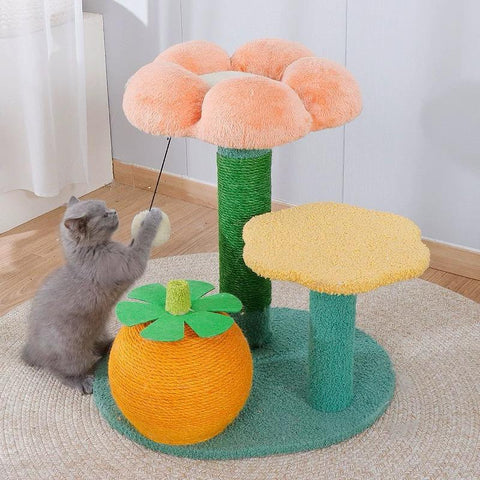 貓爬架 (花花連桔仔)