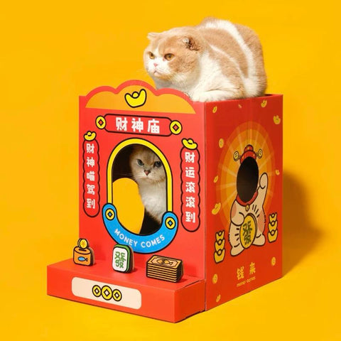 財神廟貓抓窩
