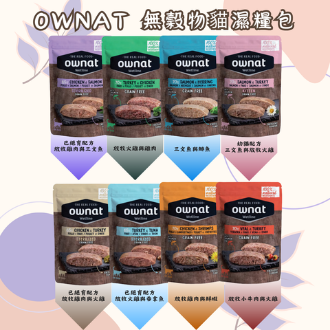 其他品牌
