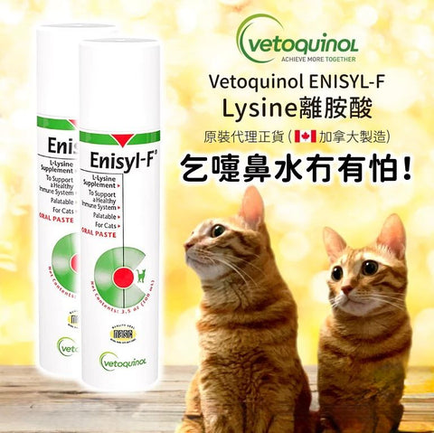 Vetoquinol Enisyl-F離胺酸營養膏 ml